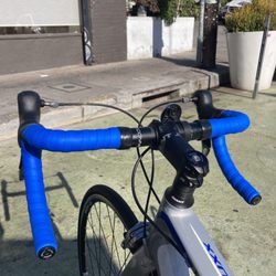 Revenge Fantasy Cycles