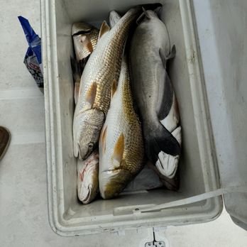 Off the Hook Fishing Trips - The cooler - Fishing Near Me - San Antonio, Texas Off the Hook Fishing Trips - The cooler - Fishing Near Me - San Antonio, Texas