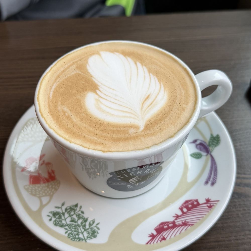Breakfast Bear - Fancy coffee available - Breakfast & Brunch Near Me - Wausau, Wisconsin