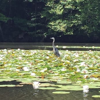 Pocahontas State Park - Parks Near Me - Chesterfield, Virginia Pocahontas State Park - Parks Near Me - Chesterfield, Virginia