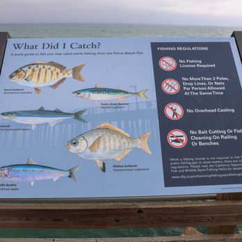 Pismo Beach Pier - Local Flavor Near Me - Pismo Beach, California