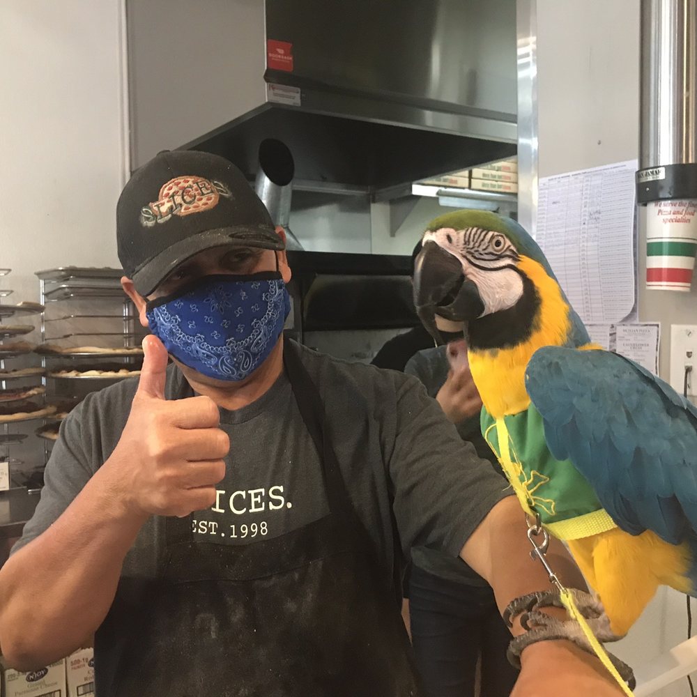 Slices - Elias hanging out with Sunshine Cotter - Pizza Near Me - Tempe, Arizona