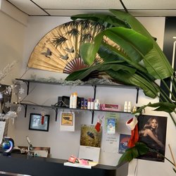 Cosmetology 101 - Front Desk