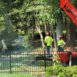 Complete Tree Care