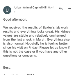 Original email from November 1st from Urban Animal saying nothing was wrong with my cat who had internal bleeding and was dying. Original email from November 1st from Urban Animal saying nothing was wrong with my cat who had internal bleeding and was dying.