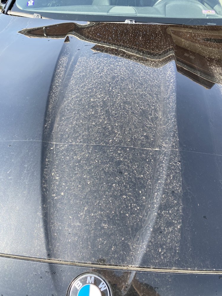 BUMPERS CAR WASH Updated April 2024 15 Reviews 2389 CO7, Erie