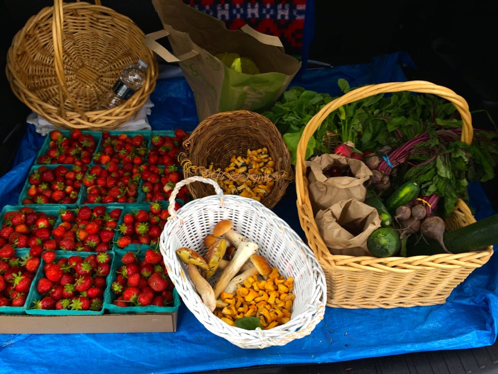 BOHRINGER’S FRUIT FARM Updated October 2024 3992 State Rte 30