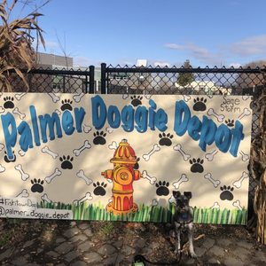 Palmer Doggie Depot on Yelp