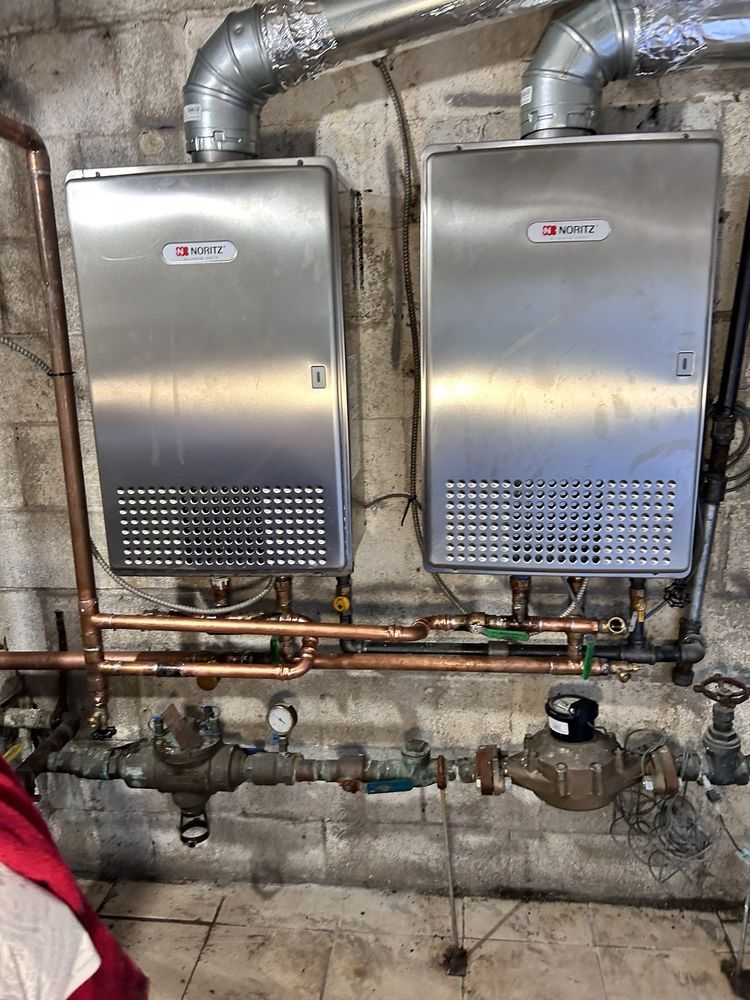 Slide of Fish The Plumber