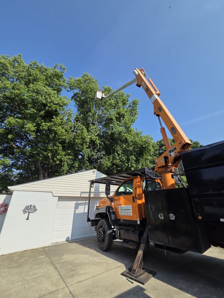 Excellent Arborist Tree Company - tree service in Groveport, OH