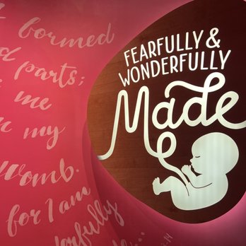 Creation Museum - Beautiful presentation on human life - Museums Near Me - Petersburg, Kentucky