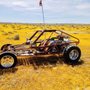 Photo of Prowlers Speed and Custom