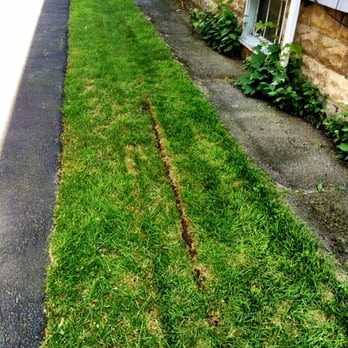 JN Phillips Auto Glass - Damage caused to my lawn by the JN Phillips tech who drove over my grass during a service call. - Auto Glass Services Near Me - Waltham, Massachusetts JN Phillips Auto Glass - Damage caused to my lawn by the JN Phillips tech who drove over my grass during a service call. - Auto Glass Services Near Me - Waltham, Massachusetts