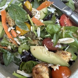 Dinner Salad Dinner Salad
