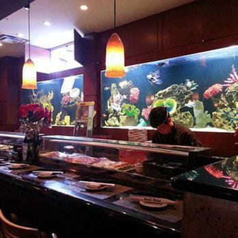 Chicagoland Aquariums - Aquarium Services Near Me - Bradley, Illinois