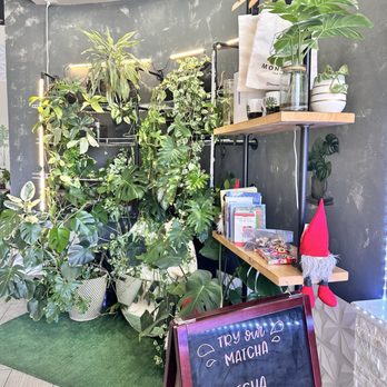 Monstera Boba Cafe - Decoration - Bubble Tea Near Me - Tujunga, California Monstera Boba Cafe - Decoration - Bubble Tea Near Me - Tujunga, California