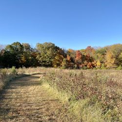 Lewis Memorial Acres