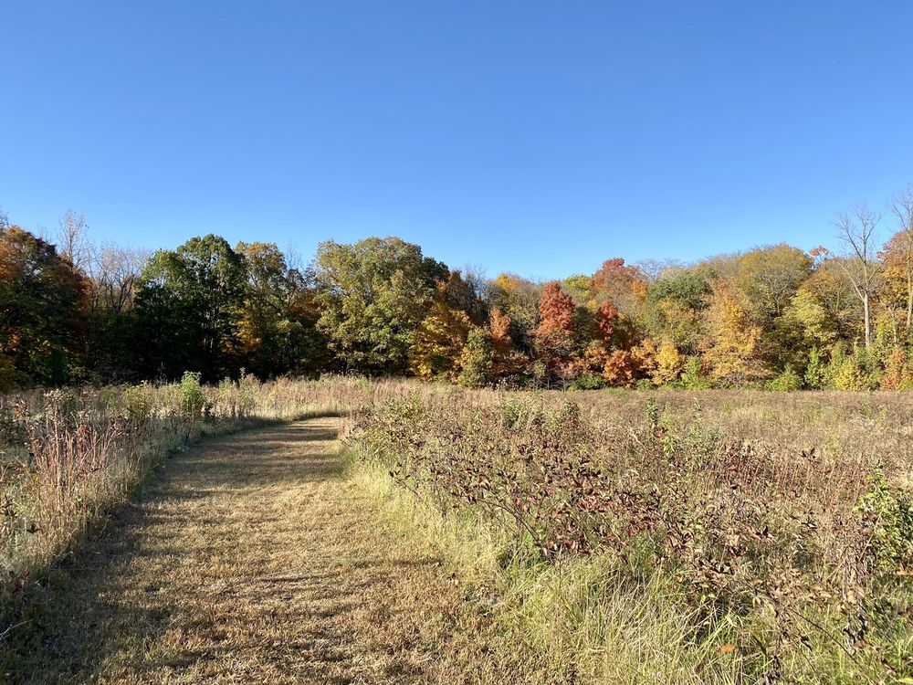 LEWIS MEMORIAL ACRES Updated September 2024 399 S Koke Mill Rd