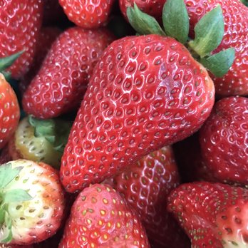 Farm Stand West, Fresh Produce, Pumpkin Patch, Christmas Trees - Strawberries - Fruits & Veggies Near Me - Escondido, California Farm Stand West, Fresh Produce, Pumpkin Patch, Christmas Trees - Strawberries - Fruits & Veggies Near Me - Escondido, California