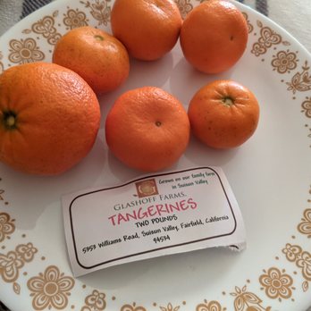 Glashoff Farms - Mandarins, 2/12/22 - Fruits & Veggies Near Me - Fairfield, California Glashoff Farms - Mandarins, 2/12/22 - Fruits & Veggies Near Me - Fairfield, California