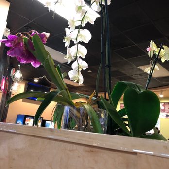 Pho Sure - Vietnamese Near Me - Raleigh, North Carolina Pho Sure - Vietnamese Near Me - Raleigh, North Carolina