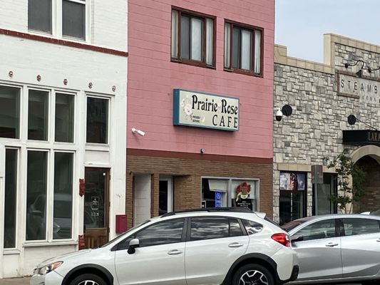 J's Prairie Rose by null