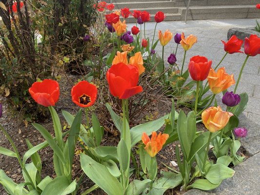 New York City Vietnam Veterans Memorial Plaza