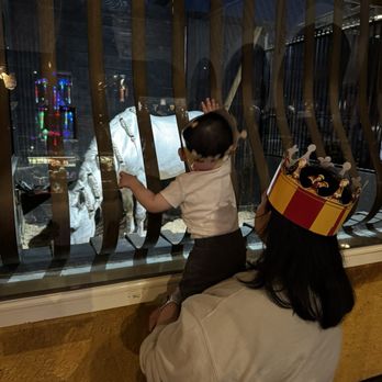 Medieval Times - Cute baby - Dinner Theater Near Me - Buena Park, California Medieval Times - Cute baby - Dinner Theater Near Me - Buena Park, California