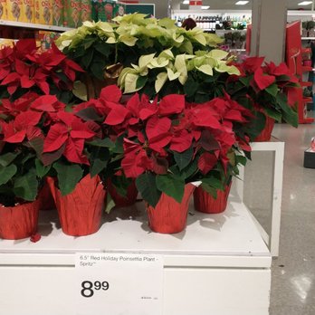 Target - Merry Christmas - Department Stores Near Me - San Jose, California