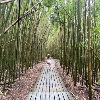 Pipiwai Trail - Hiking Near Me - Hana,, Hawaii