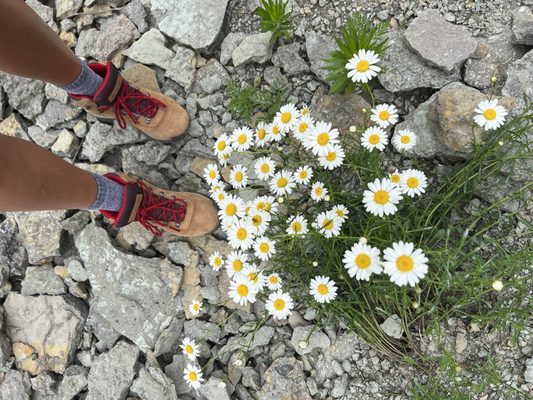 Caesar Creek State Park by null