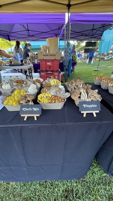 Tallahassee Farmers' Market by null