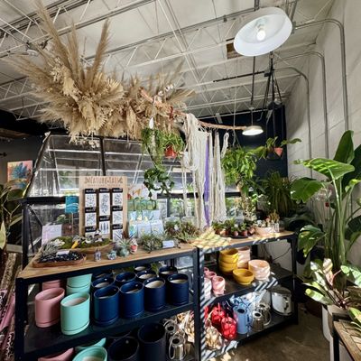 Dandy Lion Coffee Co. by null