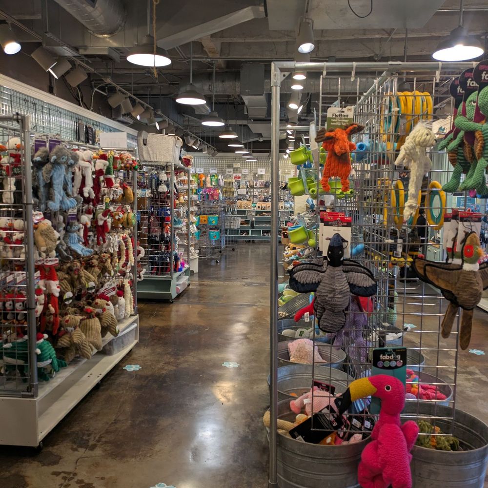 Dogologie - Pet Stores Near Me - Fredericksburg, Texas
