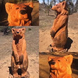 Chainsaw Coop - Chainsaw carved bear