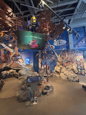 Monterey Bay National Marine Sanctuary Exploration Center by null