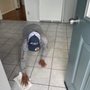 Photo of Villa's Cleaning Services