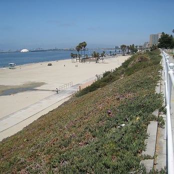 Bluff Park - The foreground is unrestored, and covered entirely by iceplant. The more diverse restored areas harbor more wildlife. - Parks Near Me - Long Beach, California
