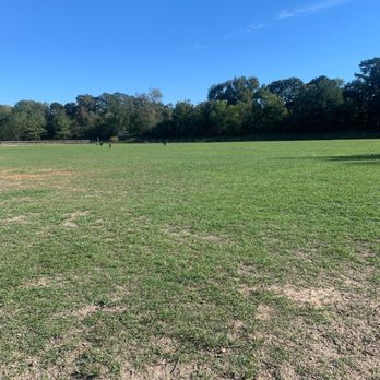 Wiggins Village Dog Park - Dog Walkers Near Me - Conroe, Texas Wiggins Village Dog Park - Dog Walkers Near Me - Conroe, Texas