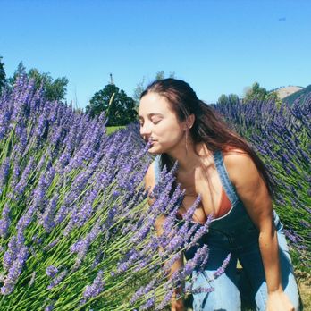 Hope Ranch Lavender - Ranches Near Me - Hood River, Oregon