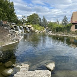 Pond Pond