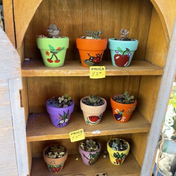 Francis's Cactus Succulents - Nurseries & Gardening Near Me - Los Angeles, California Francis's Cactus Succulents - Nurseries & Gardening Near Me - Los Angeles, California