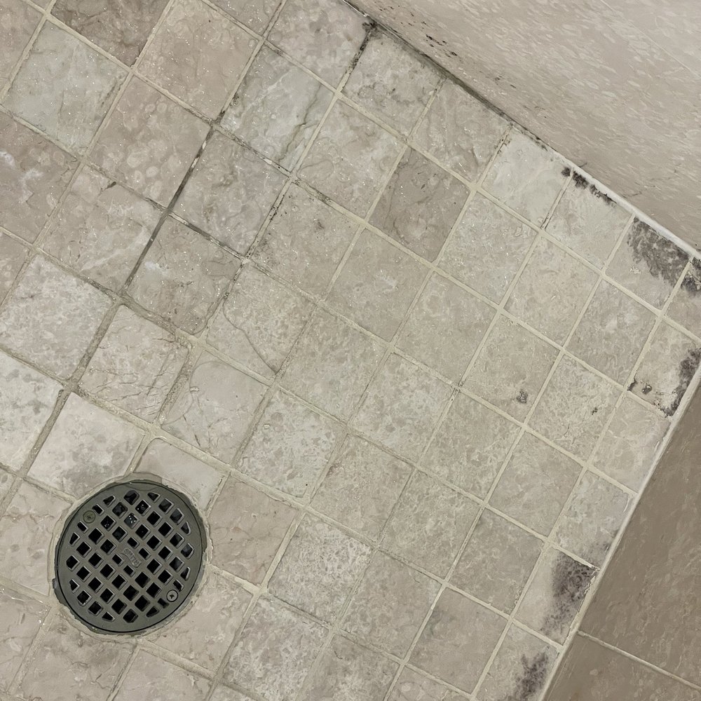Mold in shower