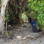 Photo of Lake Trail
