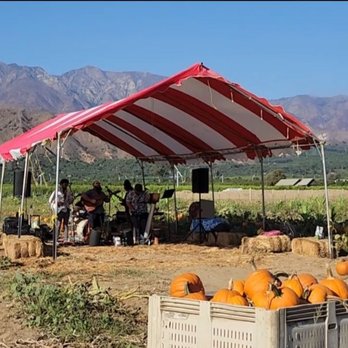 Prancers Farm - Fruits & Veggies Near Me - Santa Paula, California Prancers Farm - Fruits & Veggies Near Me - Santa Paula, California