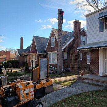 Willows Tree Service - Tree Services Near Me Willows Tree Service - Tree Services Near Me