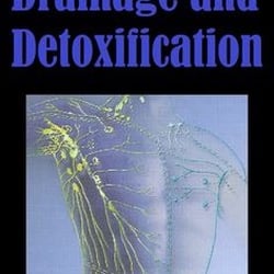 Bay Area Lymphatic and Massage