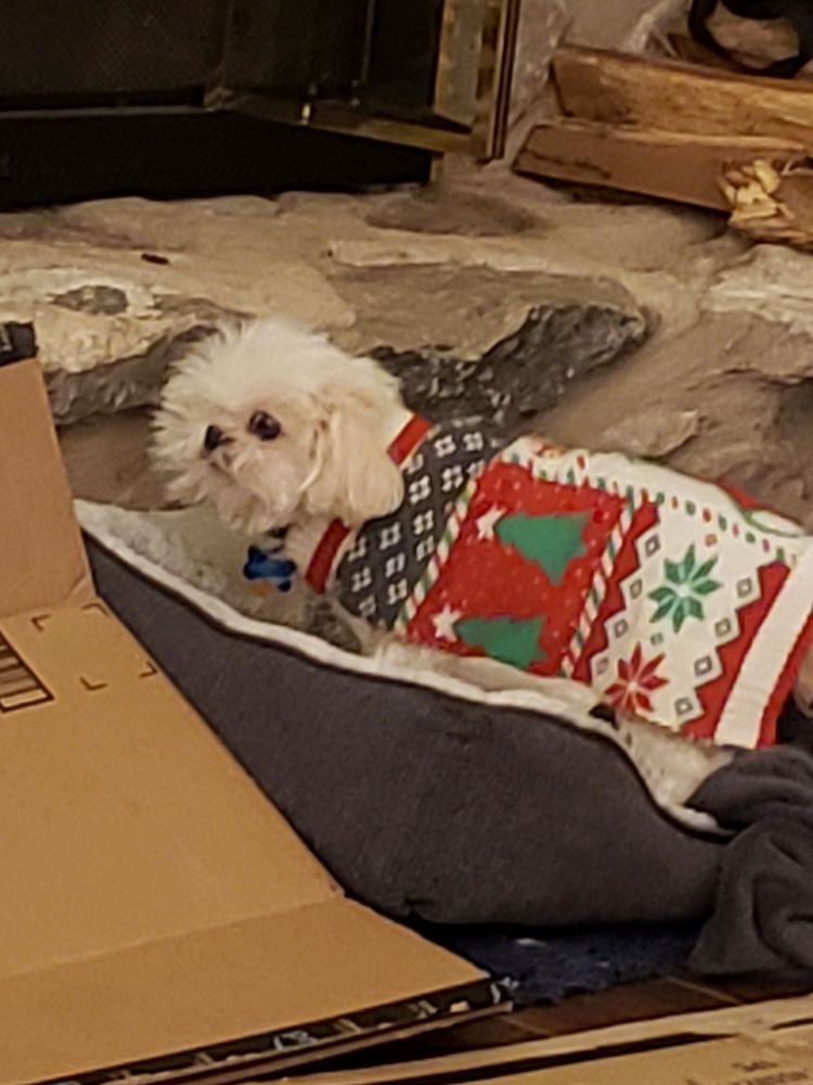 BRADFORD PARK VETERINARY HOSPITAL Updated October 2024 10 Photos