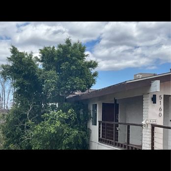 Cifuentes Tree Service - Before and after - Tree Services Near Me