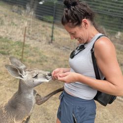 Fall City Wallaby Ranch